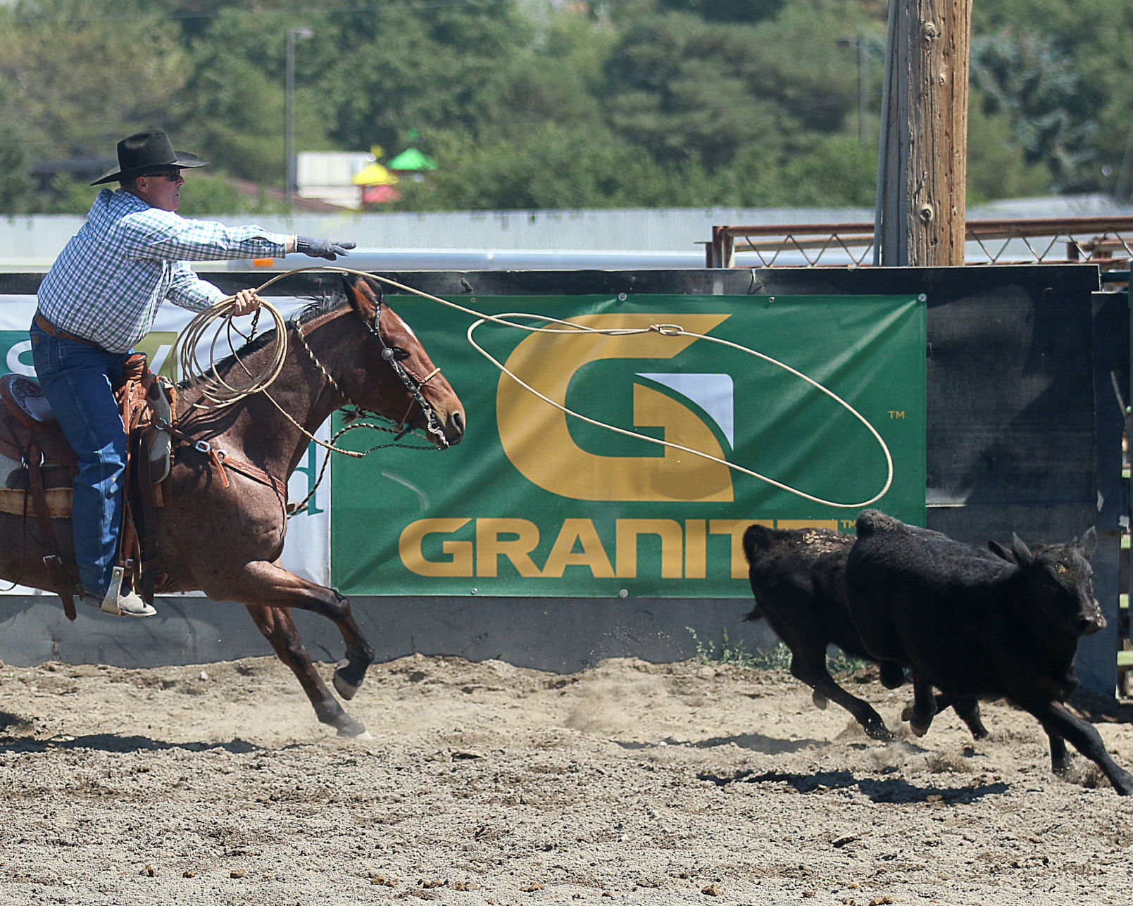2018 Elko County Fair Open Branding Finals (17).JPG